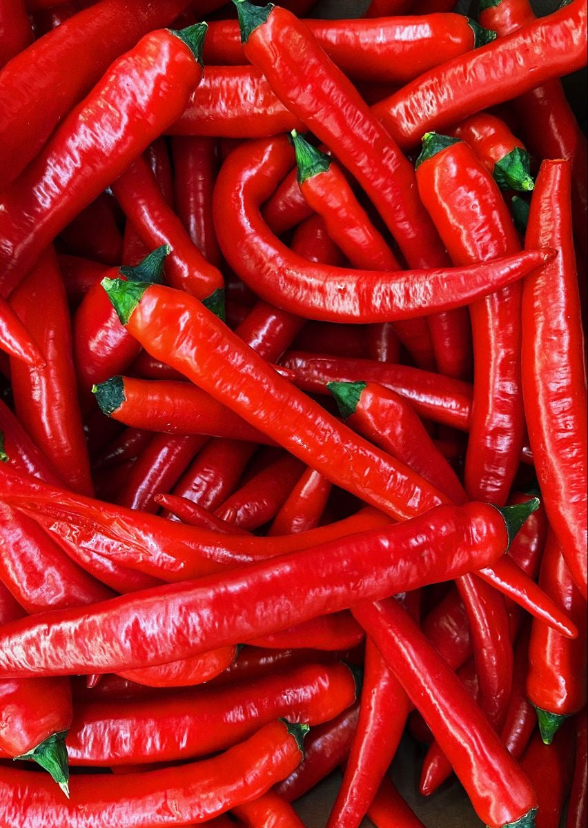 Red Chilli Long