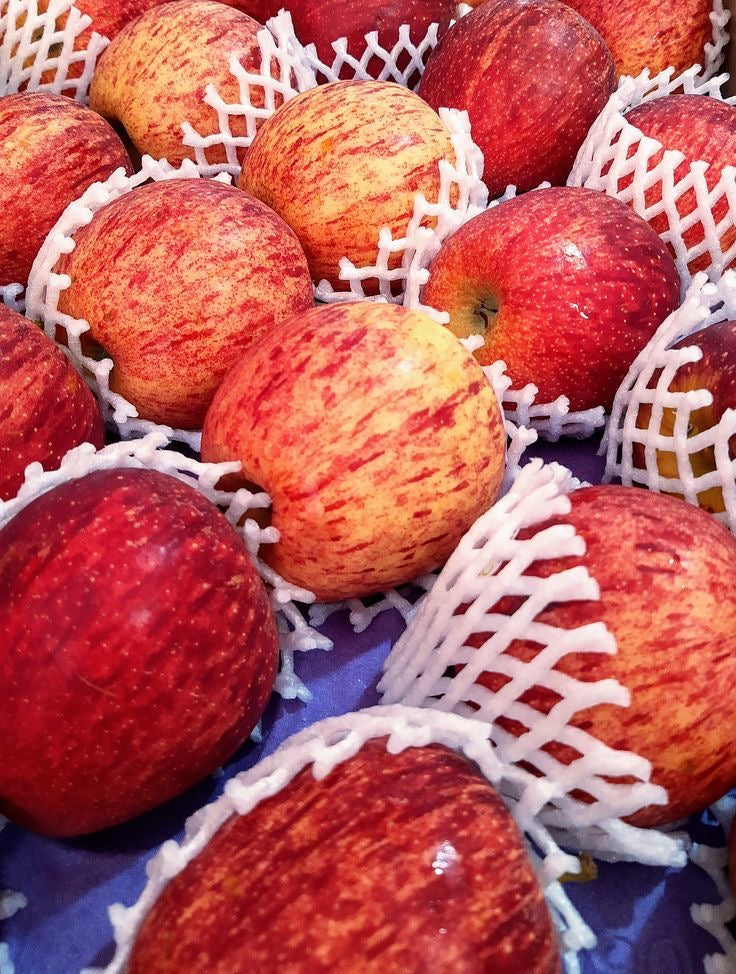 Gala Apples South Africa