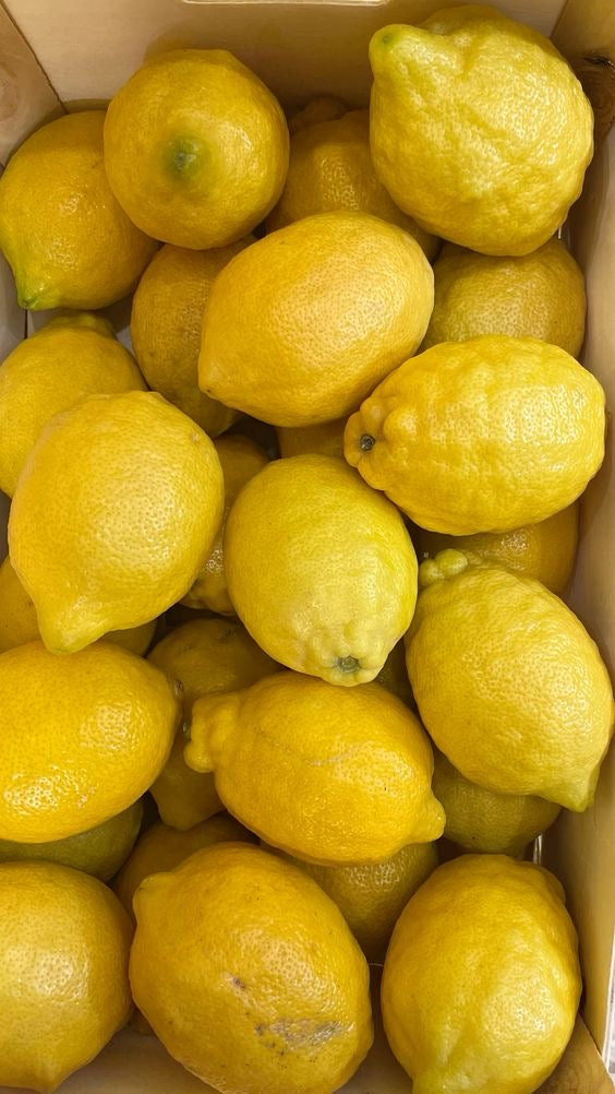 Lemon Big South Africa 14kg