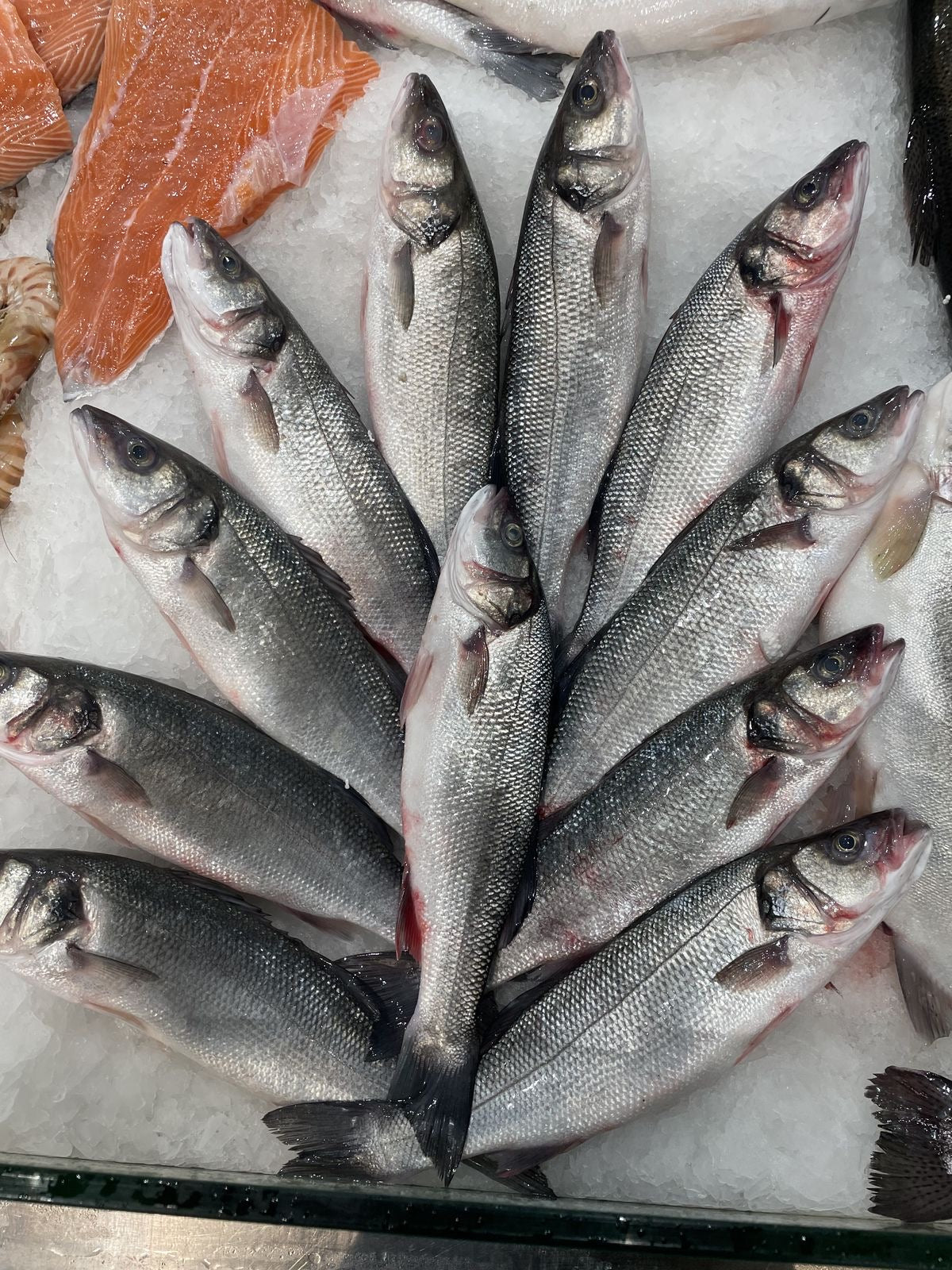 Fresh Turkish Sea Bass – Whole 1kg