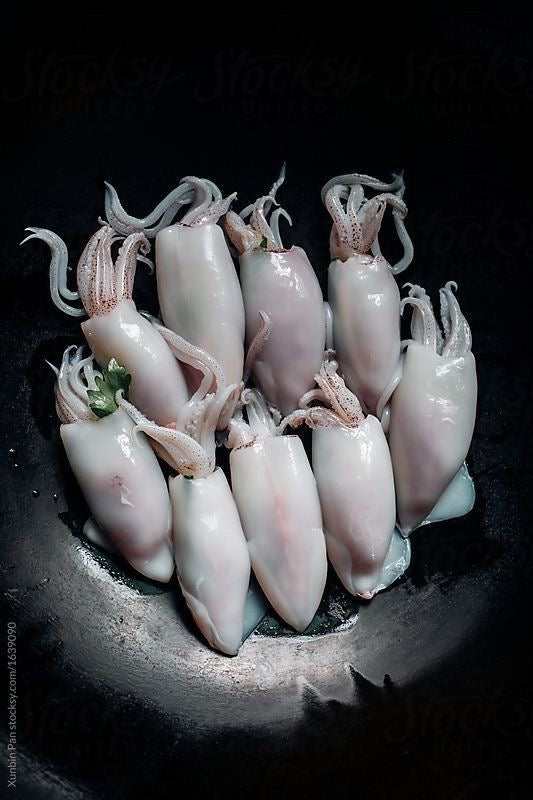 Squid Tube big 10 kg box