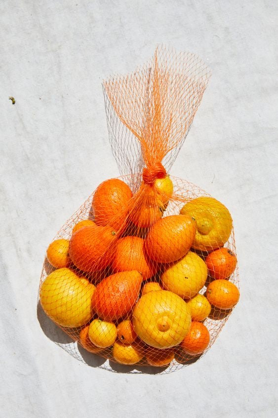 Orange Valencia South Africa