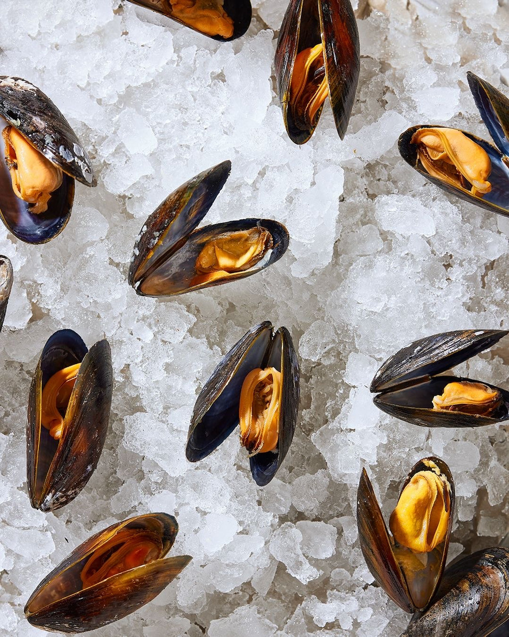 New Zealand Half-Shell Mussels – Frozen 1kg