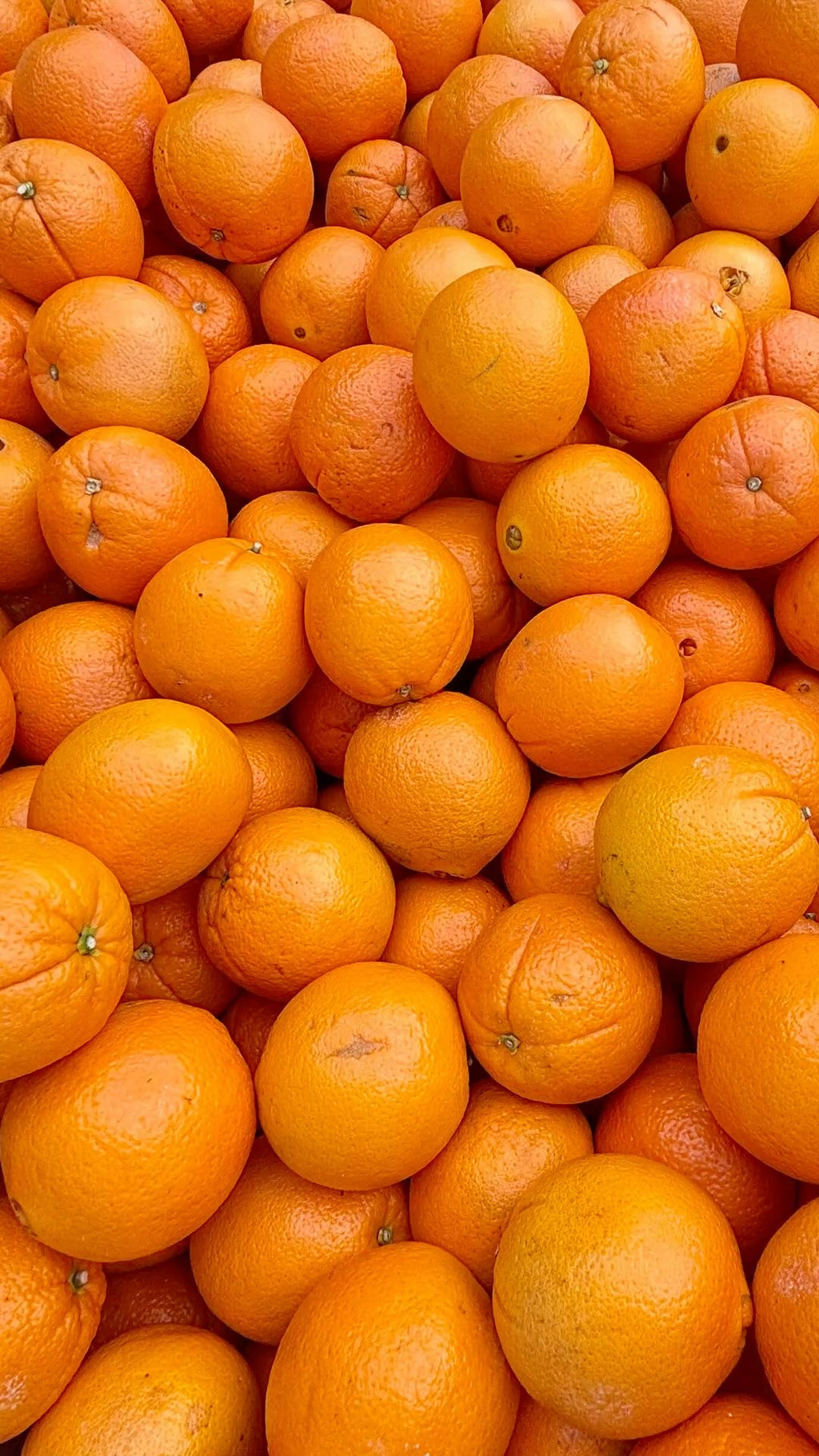 Orange Valencia South Africa