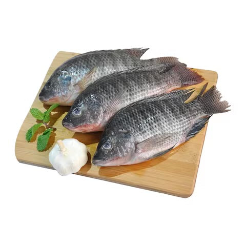 Fresh Tilapia Fish 1kg