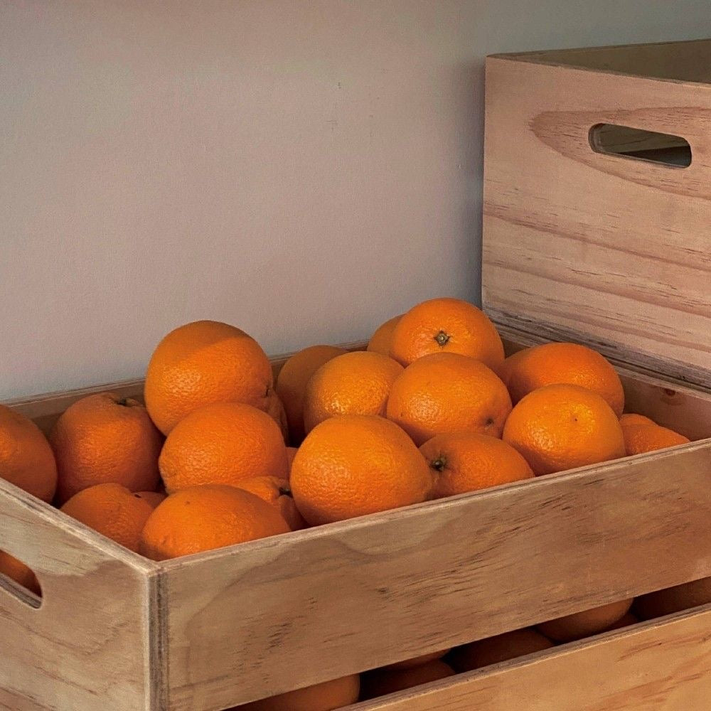 Orange Valencia South Africa