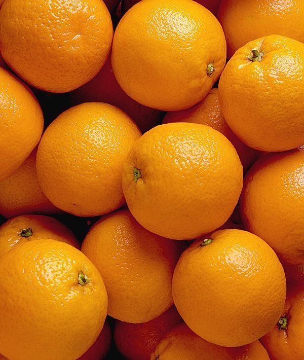 Orange Valencia South Africa