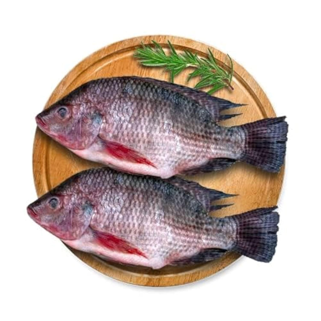 Fresh Tilapia Fish 1kg