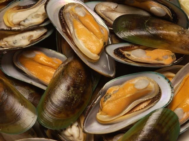 New Zealand Half-Shell Mussels – Frozen 1kg