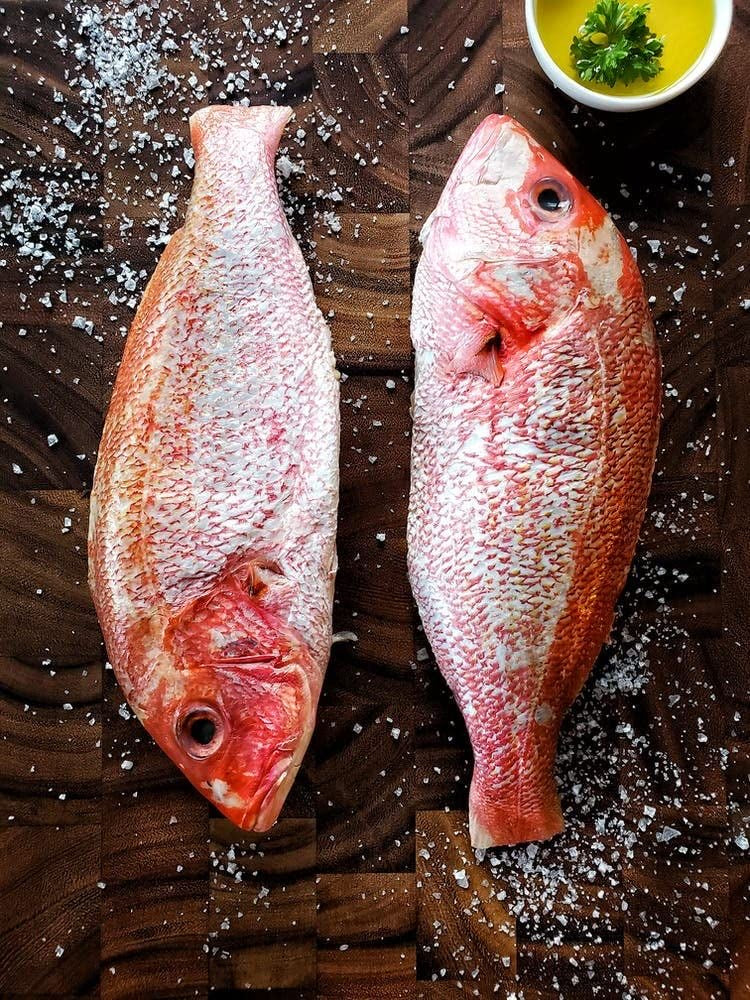 Red snapper Fillet 🇦🇪 – Terrabarn