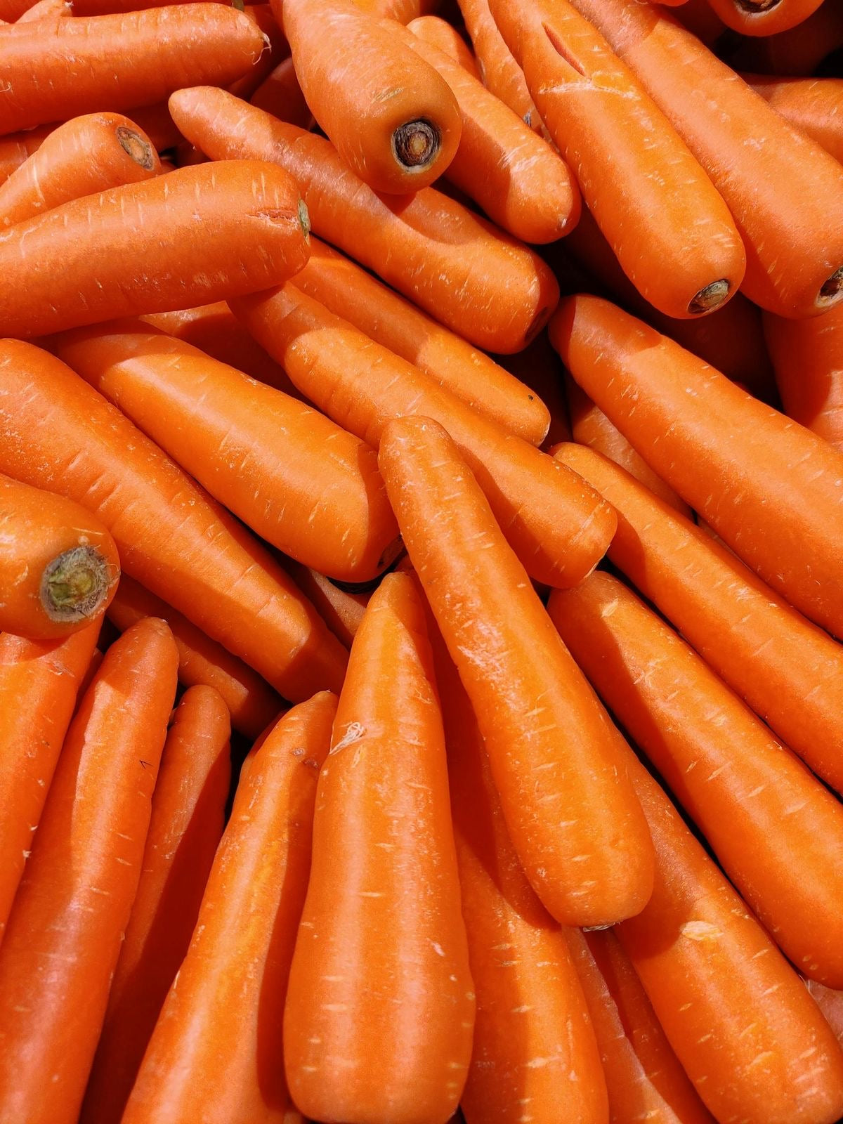 Carrot China 1kg