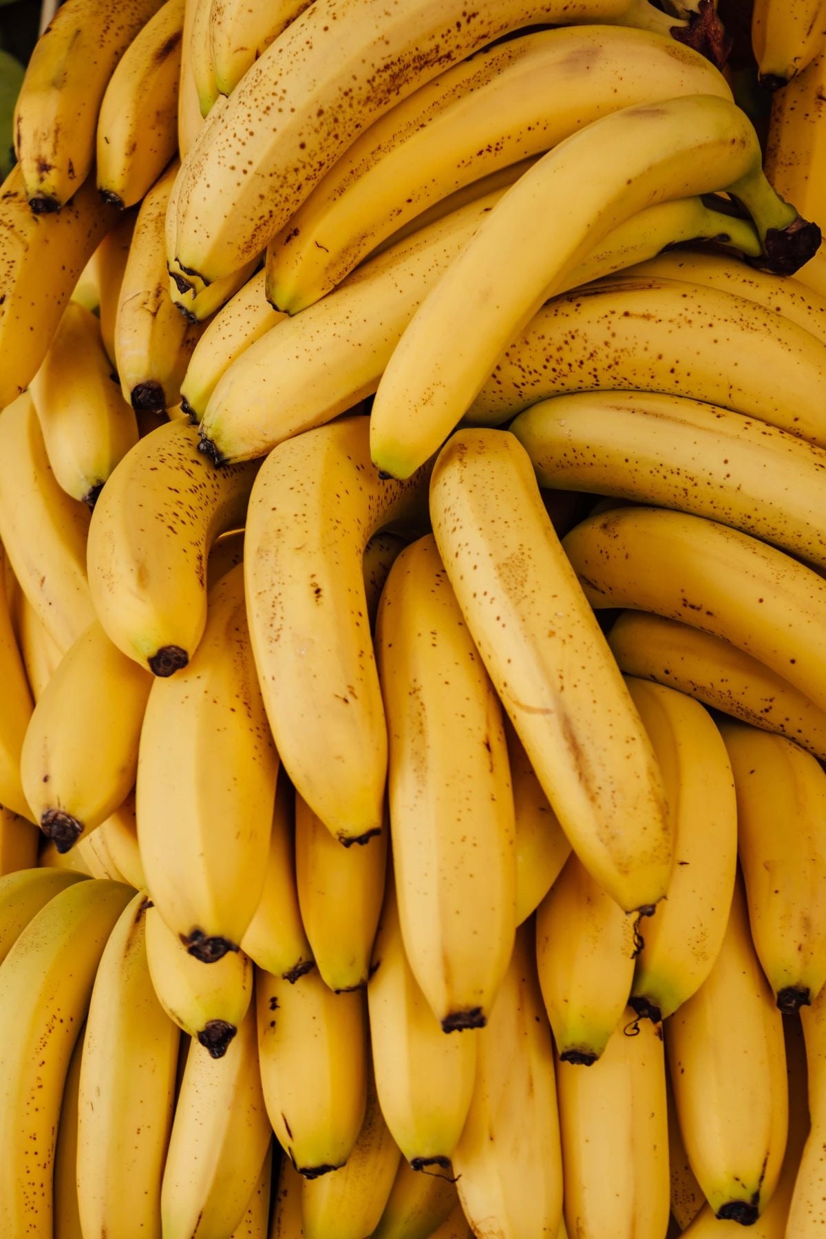 Premium Banana 18kg