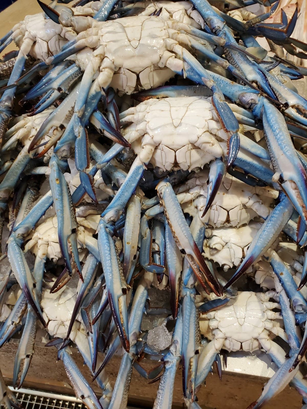 Female Crab 200/300 frozen