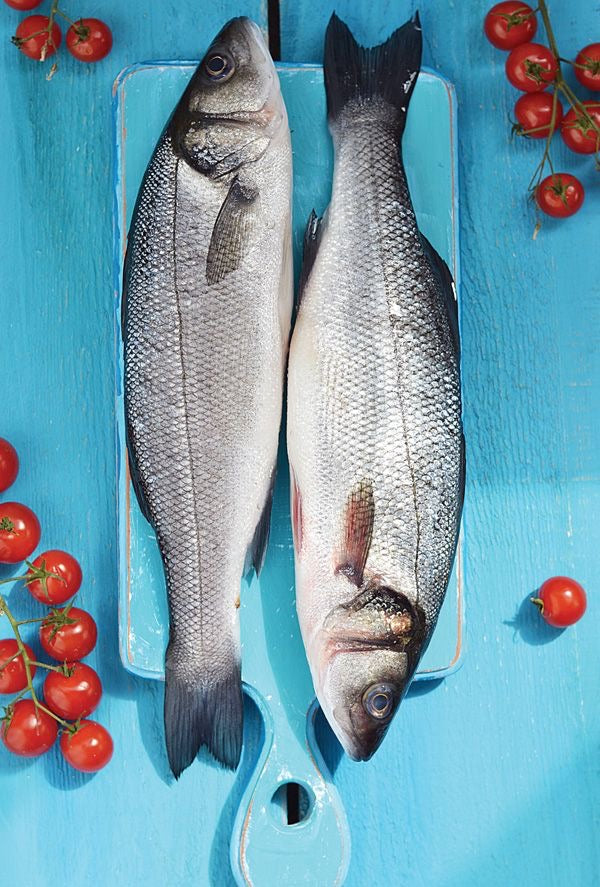Fresh Turkish Sea Bass – Whole 1kg