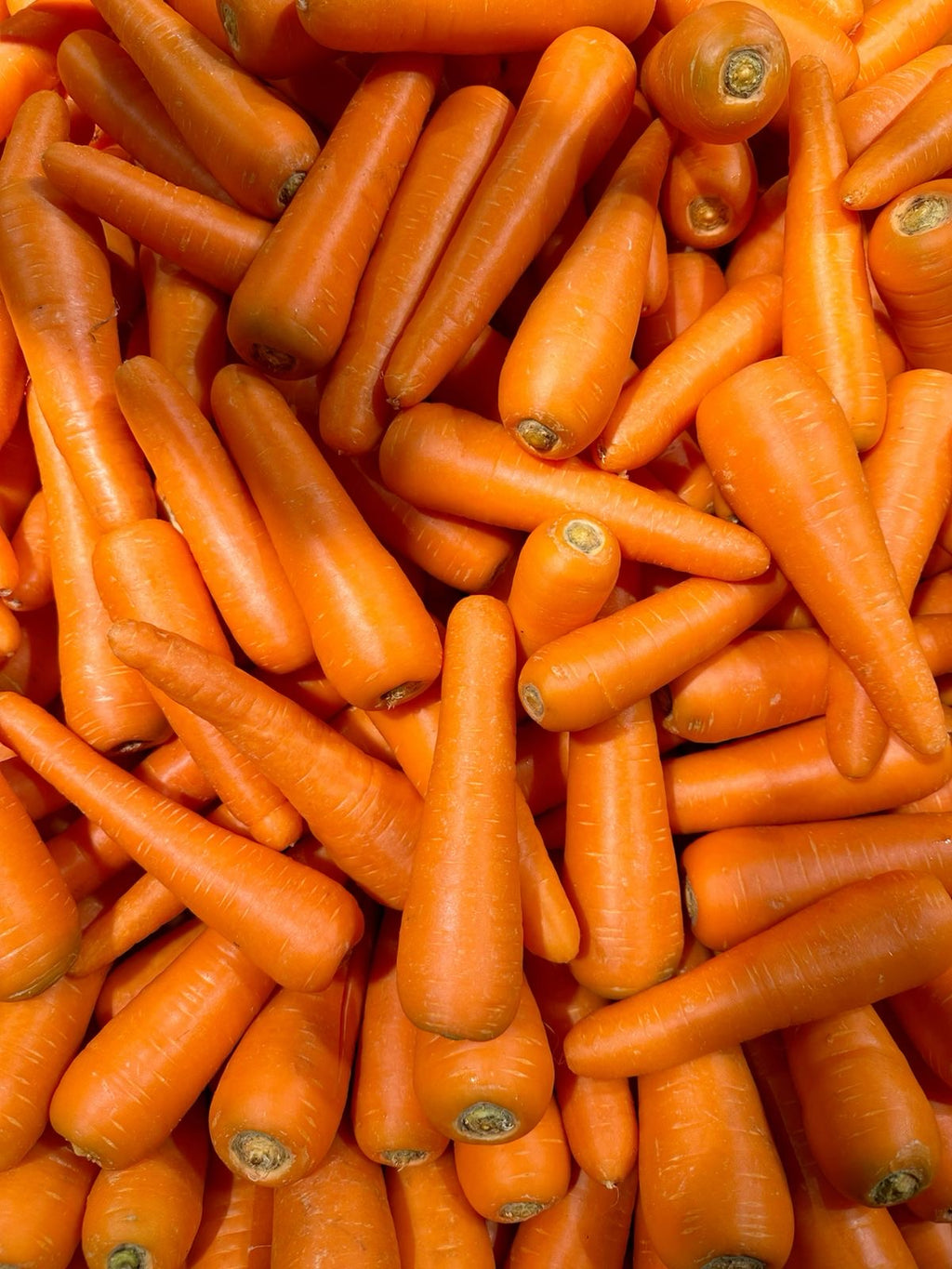 Carrot China 1kg